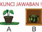 Apa-yang-membedakan-pot-A-dan-pot-B-dalam-percobaan-Aga.jpg