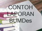 Bagaimana-Contoh-Laporan-BUMDes-Akhir-Tahun.jpg