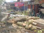 CUACA-EKSTREM24354ew.jpg