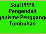 Contoh-Soal-Tes-Seleksi-PPPK-Jurusan-Pengendali-OrganismePenggangguTumbuhan.jpg