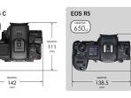 EOS_R5_C_3jpg.jpg