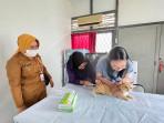 Dinas Pertanian dan Perkebunan Sintang Gelar Sterilisasi dan Vaksinasi Hewan