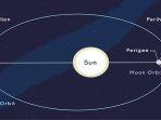 HEBOH-Fenomena-Aphelion-jadi-Penyebab-Cuaca-Dingin-di-Indonesia-Bulan-Juli-2025-Ini-Kata-BMKG.jpg