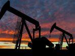 Harga-Minyak-Dunia-Anjlok-Parah-Kini-OPEC-yang-Bikin-Ulah.jpg