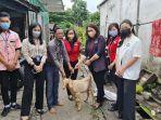 Hewan-kurban-dari-mercure-pontianak.jpg