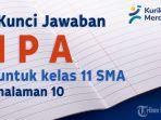 IPA-Kelas-11-SMA-di-Halaman-10.jpg
