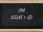 IPA-kelas-1-SD-Semester-1-30.jpg