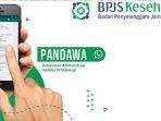 Ilustrasi-Layanan-PANDAWA-BPJS-Kesehatan-dengan-WhatsApp.jpg