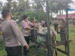 KetapangSuntik-Sapi.jpg