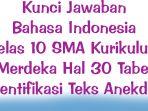 Kunci-Jawaban-Bahasa-Indonesia-Kelas-10-SMA-Kurikulum-Merdeka-Hal-30-Tabel-Identifikasi-Teks-Anekdot.jpg