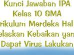 Kunci-Jawaban-IPA-Kelas-10-SMA-Kurikulum-Merdeka-Hal-41-Jelaskan-Kebaikan-yang-Dapat-Virus-Lakukan.jpg