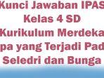 Kunci-Jawaban-IPAS-Kelas-4-SD-Kurikulum-Merdeka.jpg