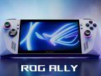 Model-Asus-Rog-Ally.jpg