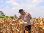 Kapolres Sintang Cek Kesiapan Panen Raya Serentak Kuartal III