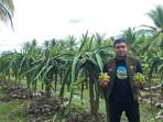 Penyuluh-pertanian-lapangan-PPL-Kecamatan-Jawai.jpg