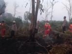 Tim Gabungan Butuh Waktu Panjang Padamkan Api di Lahan Kebun Karet dan Sawit yang Terbakar 