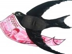 SARANG-WALET.jpg