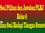 Soal-PLBJ-Kelas-4-cvfgb.jpg