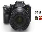 Sony_Alpha_9_3.jpg