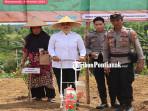 TANAM-JAGUNG-243EWSFMNH-M.jpg