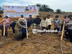 TANAM-JAGUNG2343w.jpg