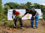 TANAM-POHON-234ewdf.jpg
