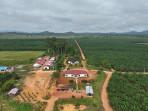 Tegaskan-komitmen-untuk-dukung-program-Electrifying-Agriculture-PLN-memasok.jpg