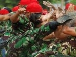 Tentara-1.jpg