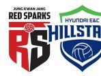 ambar-Ilustrasi-Babak-play-off-Liga-Voli-Korea-Selatan11.jpg