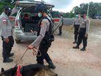 anjing-k-9.jpg