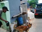 Wah, Ada Anjing Pelacak Endus Bahan Peledak di Pelabuhan
