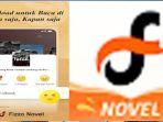 aplikasi-fizzo-novel-merupakan-platform-yang-bisa-membayar-orang-yang-membaca-novel.jpg