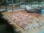 ayam-potong_20161215_142747.jpg