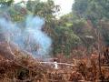 bakar-lahan-123.jpg