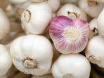 bawang-putih-untuk-menurunkan-darah-tinggi.jpg