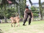 Polwan Cantik Ini Jadikan Satwa Anjing Teman Bekerja