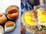 buah-lai-buah-mirip-durian-ini-manfaat-buah-lai.jpg
