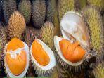 buah-lai-sekilas-mirip-durian-ini-manfaat-buah-lai-untuk-kesehatan.jpg