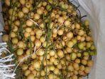 buah-limpasu.jpg