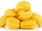 buah-nangka-bisa-sembuhkan-berbagai-jenis-penyakit-kanker-khasiatnya-lebih-dari-minum-obat.jpg
