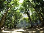 cagar-alam_20161105_221819.jpg