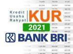 cara-lolos-survey-kur-bri-lengkapi-persyaratan-login-httpskurbricoid-daftar-kur-bri-online.jpg