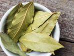 daun-salam-ksisjdjdjdjss.jpg