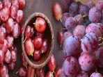deretan-manfaat-buah-anggur-merah-mampu-menjaga-tubuh-dari-virus-penyakit.jpg