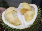 durian-9-makanan-ini-bisa-jadi-pemicu-kanker-otak-makanan-menggiurkan-bahayakan-kesehatan.jpg