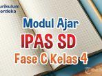 file-modul-ajar-IPAS-kelas-4-SDMI-fase-B-kurikulum-merdeka.jpg