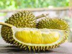 gejala-mabuk-durian-dan-penyebab-mabuk-durian-serta-cara-ampuh-mengatasinya-dengan-cara-alami.jpg