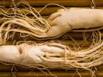 ginseng_20151118_105754.jpg