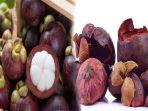 hasil-samping-buah-manggis-buah-manggis-obat-diabetes-ini-5-manfaat-buah-manggis-untuk-kesehatan.jpg