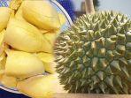 hati-hati-makan-durian-dengan-7-makanan-atau-minuman-ini-efeknya-dipercayaburuk-bagi-tubuh.jpg